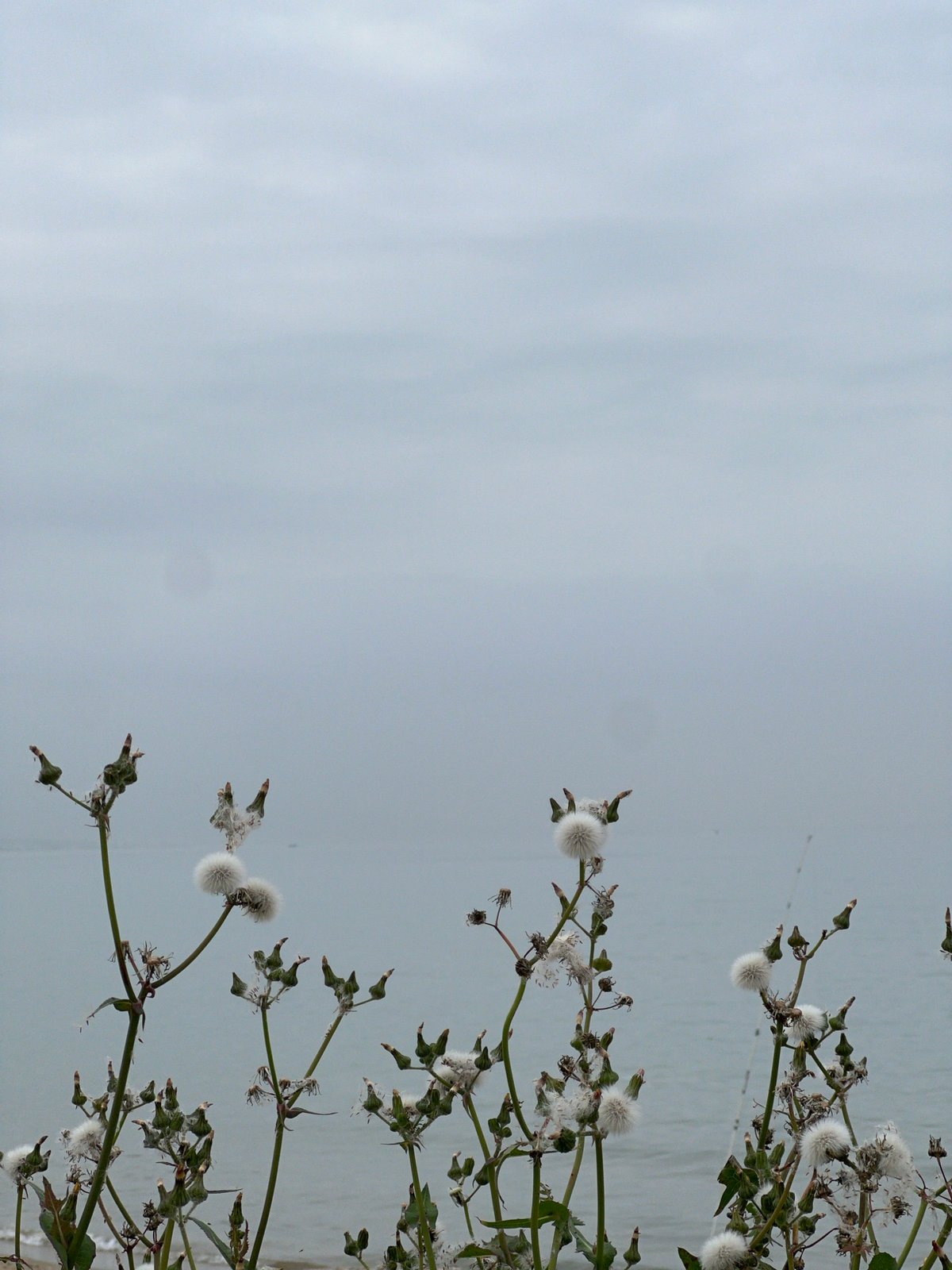 Overcast afternoon documented along M'Diq Morocco coastline