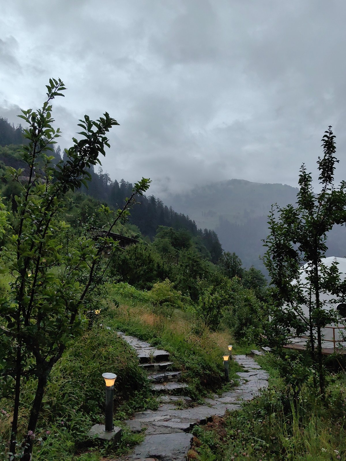 Misty mountains, roses, and quiet corners of Prini