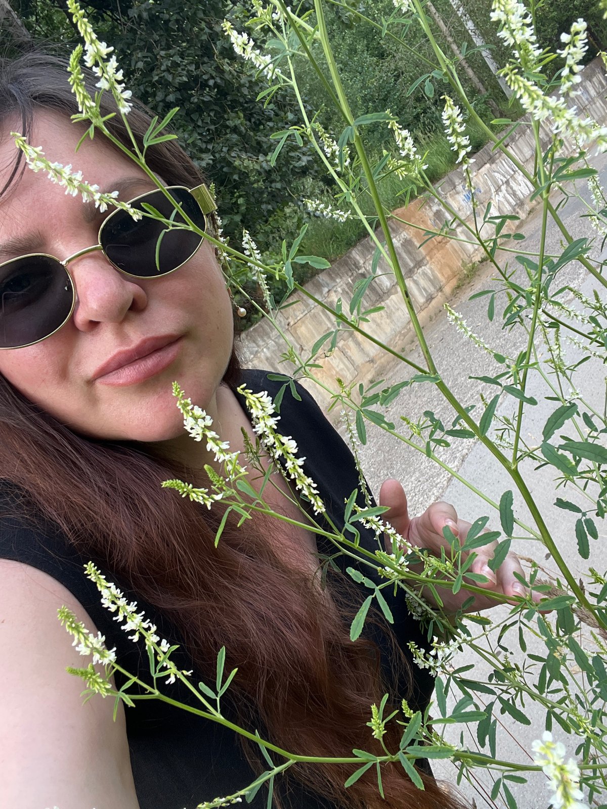 Summer day in Noviy: outdoor performances and personal moments