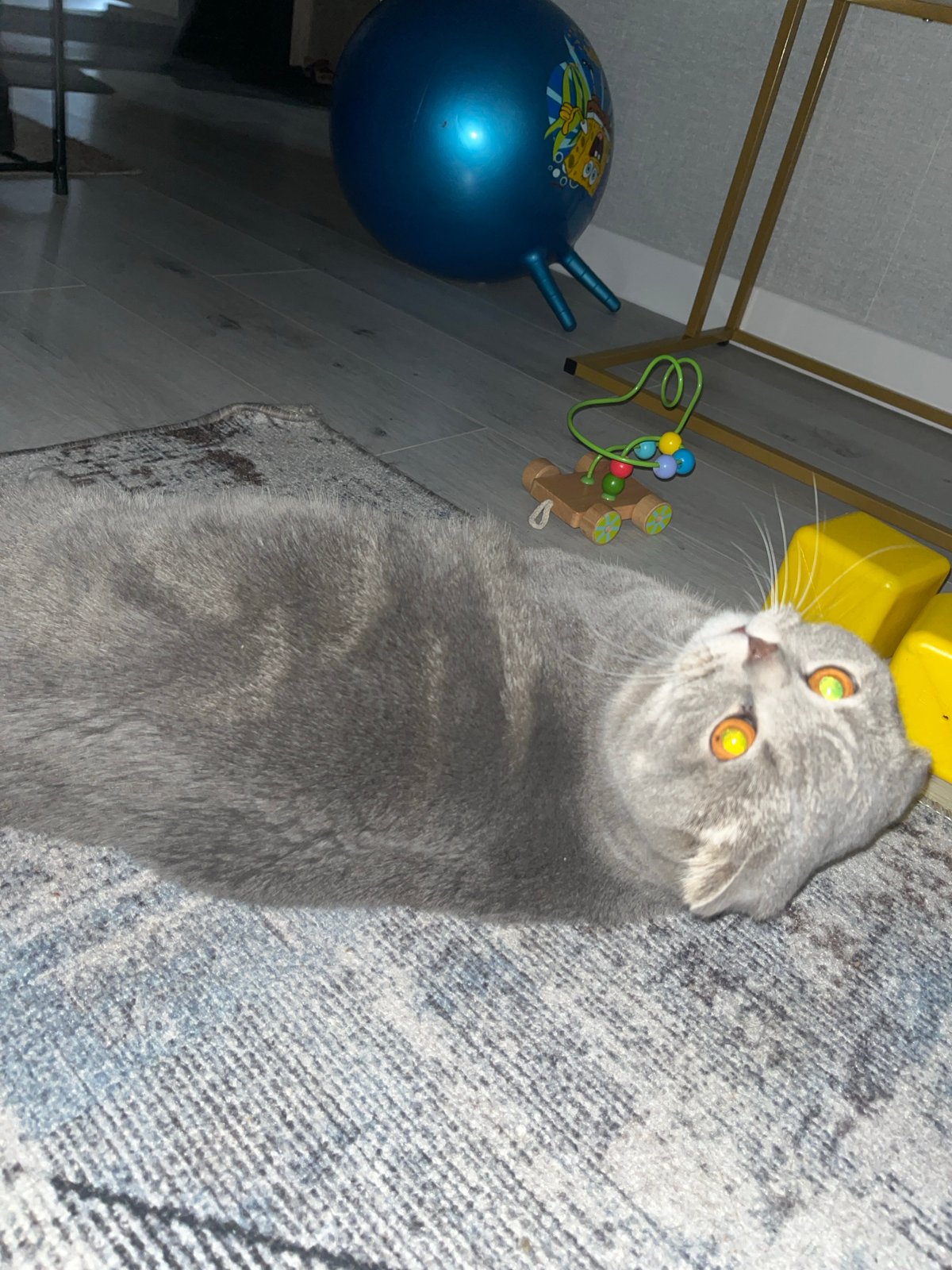 Woman documents nighttime routine with cat in Chaikovsky, Russia