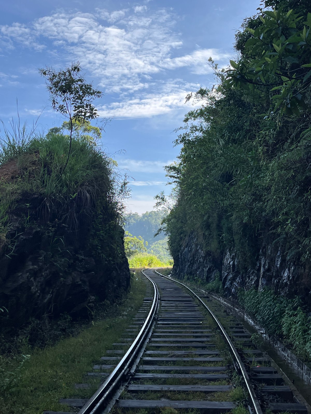 Railway track winds through verdant cliffside landscape near Ella