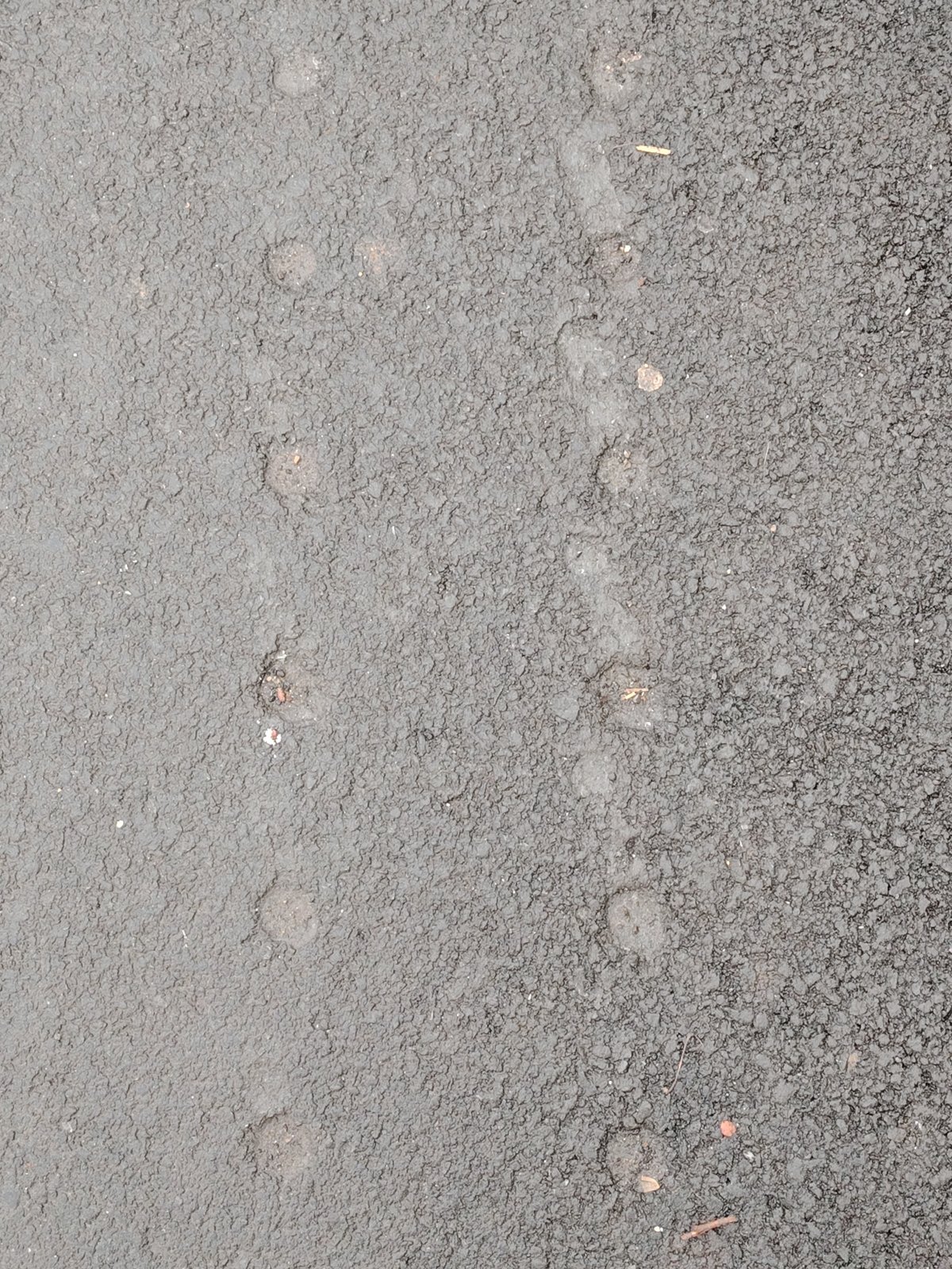 Early morning street observations recorded in Sarapul, Russia