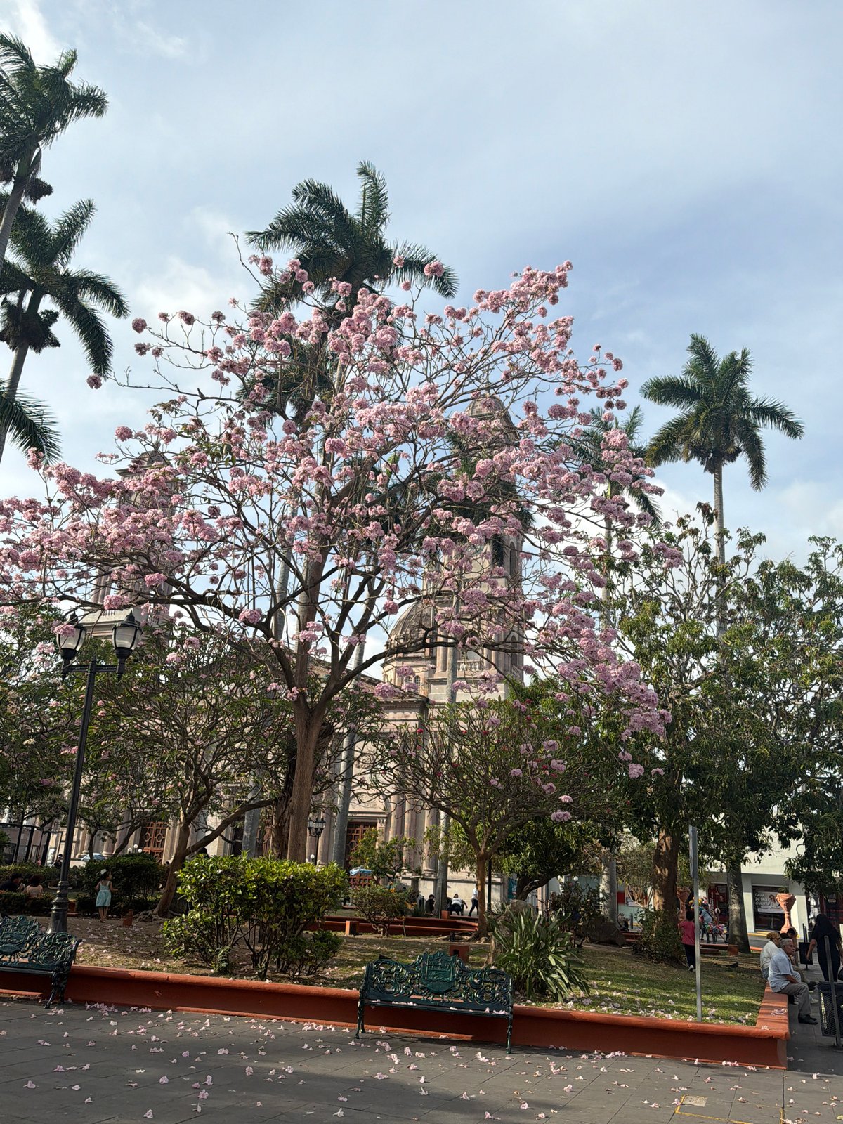 Evening documentation of Tampico's squares and museum exhibits
