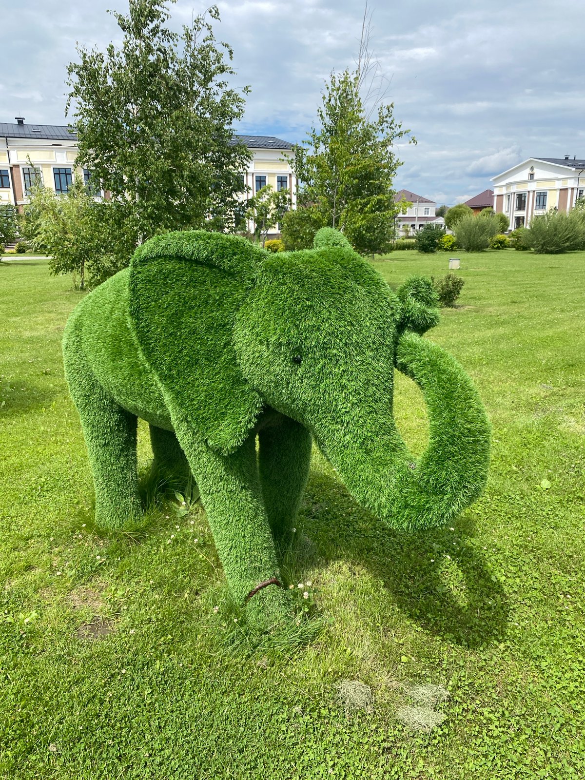 Summer morning at a Tyumen park with playground and topiary