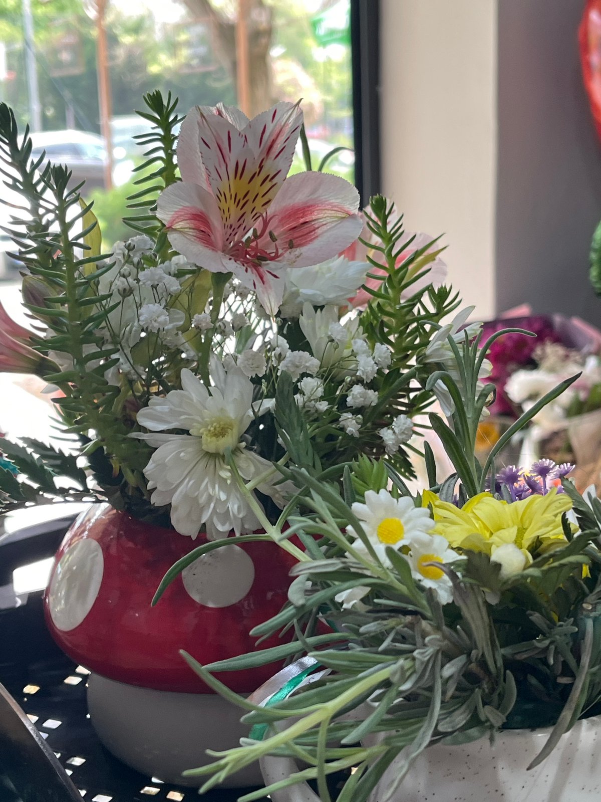 Morning flower shop visit documented in Burgas, Bulgaria