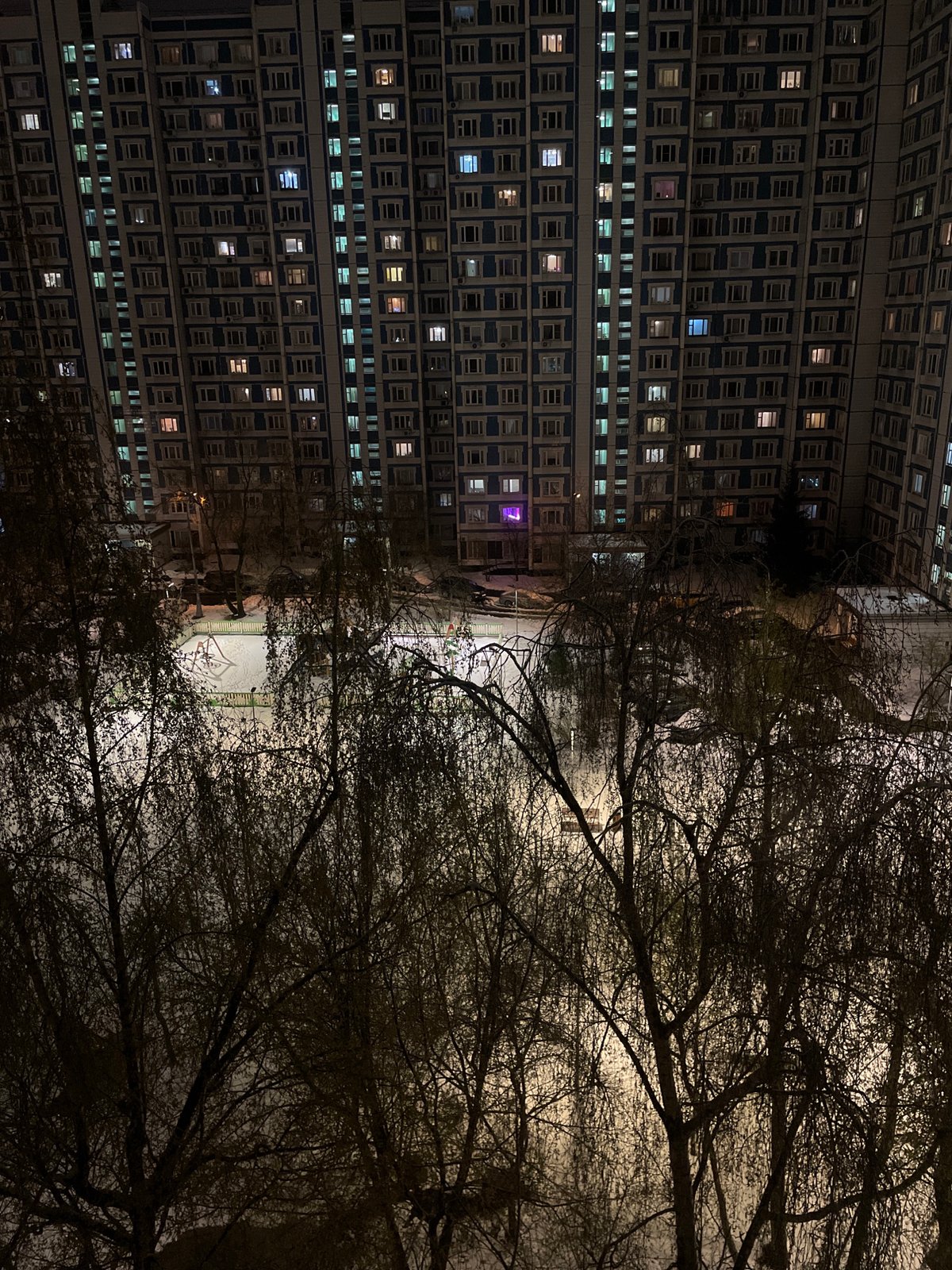 Moscow nighttime scene shows building contrasting with bare trees