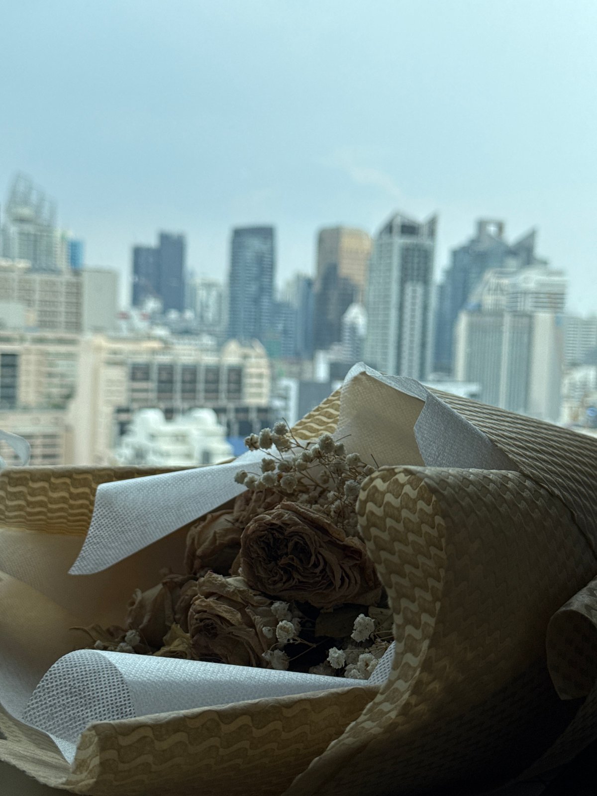 Bangkok resident documents home interior and city views