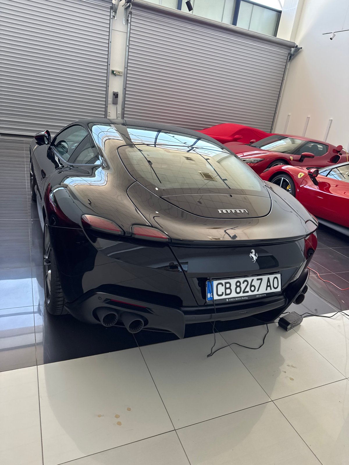 Sofia residents document Ferrari showroom visit, shopping trip