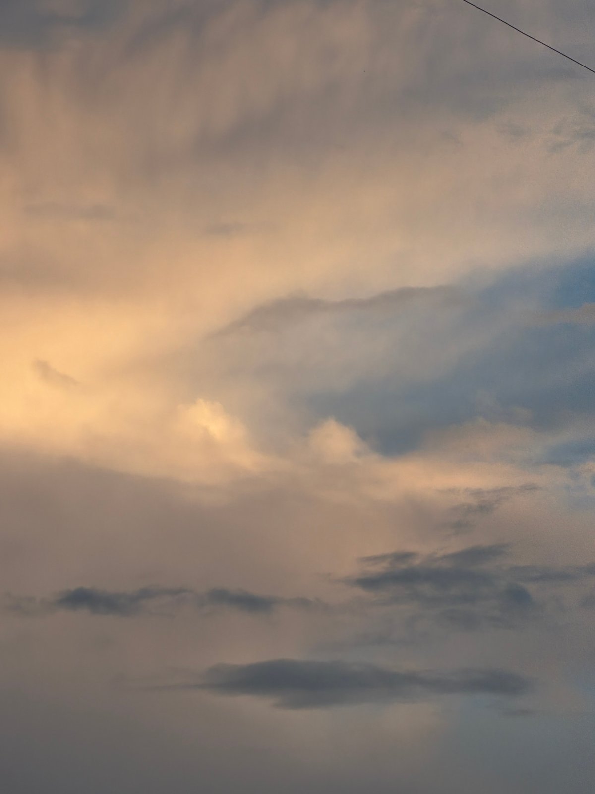 Khimki evening: moody skies, pets, and industrial skyline