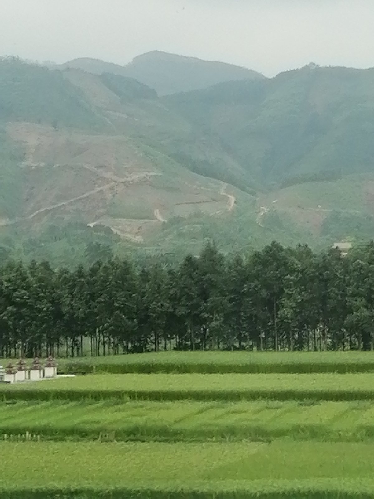 Peaceful rural landscape observed under hazy skies in Chau Que
