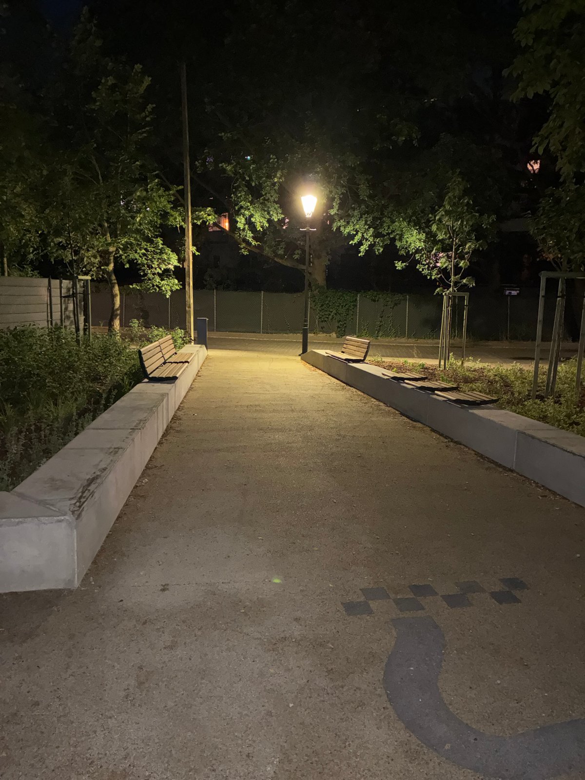 Evening stroll through a Warsaw park, flowers and all