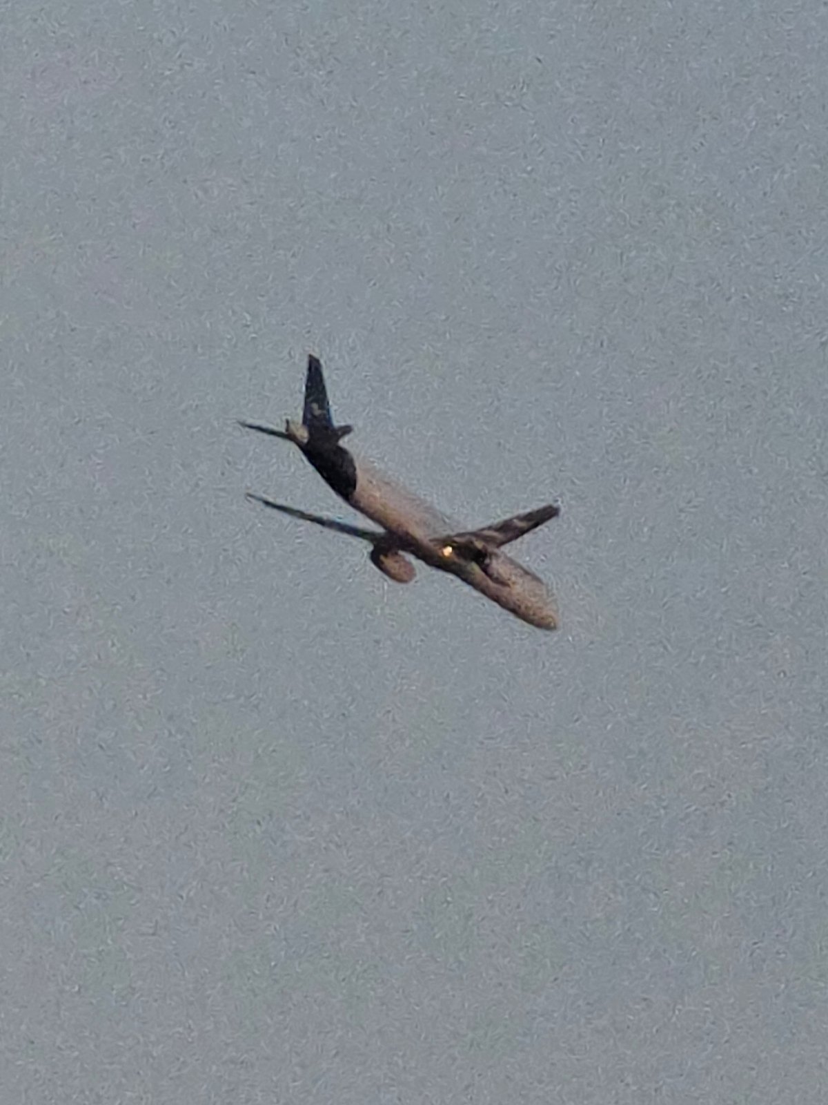 Plane climbing out under gray skies near Frankfurt Airport
