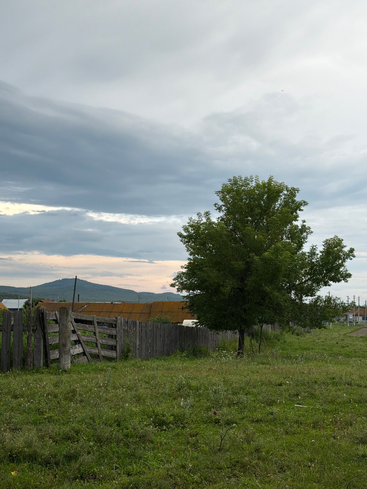 Rural property visit: smoking kilns, garden flowers, and firewood trucks