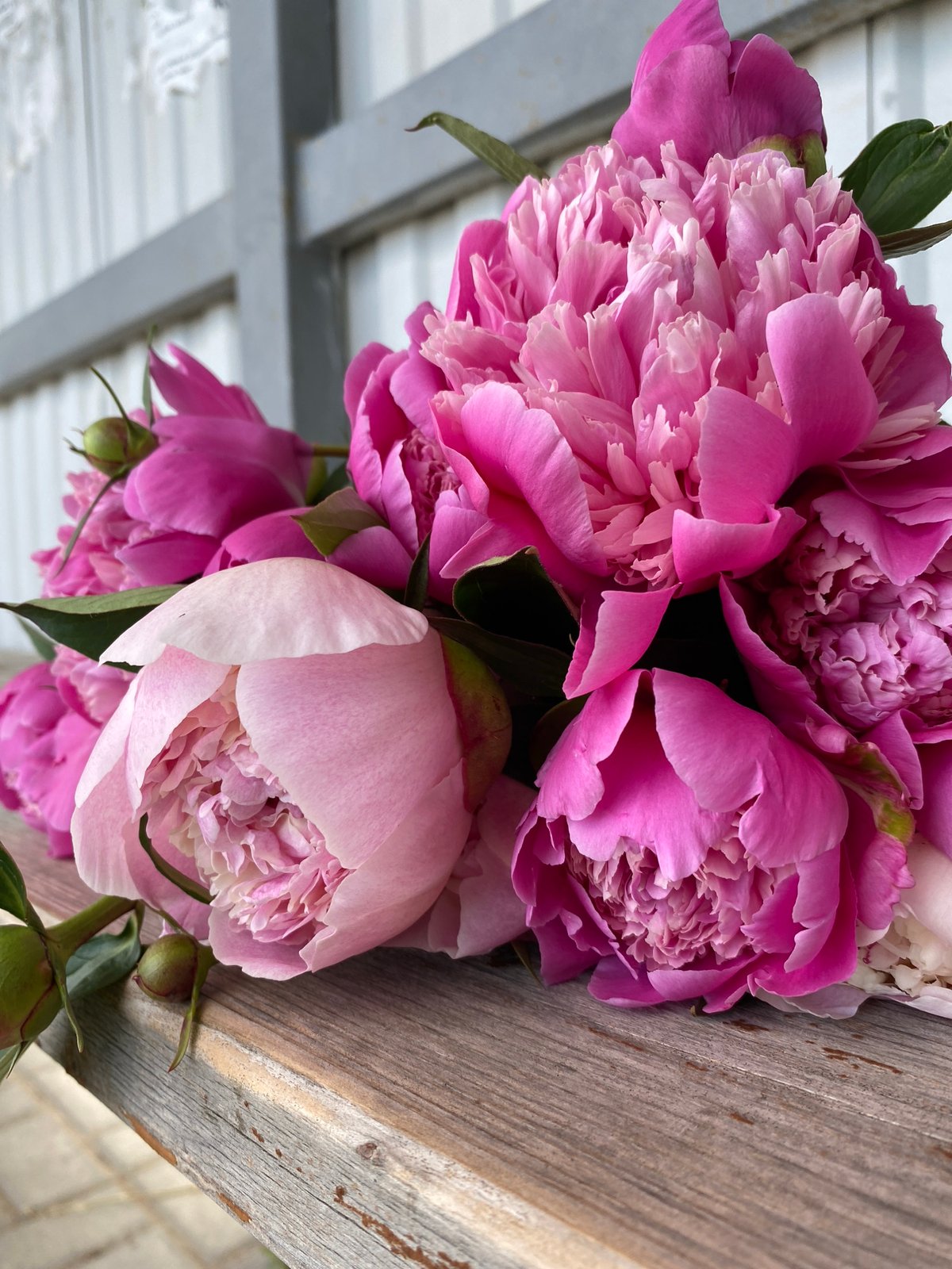Person with peony bouquet photographed at Noviy waterfront