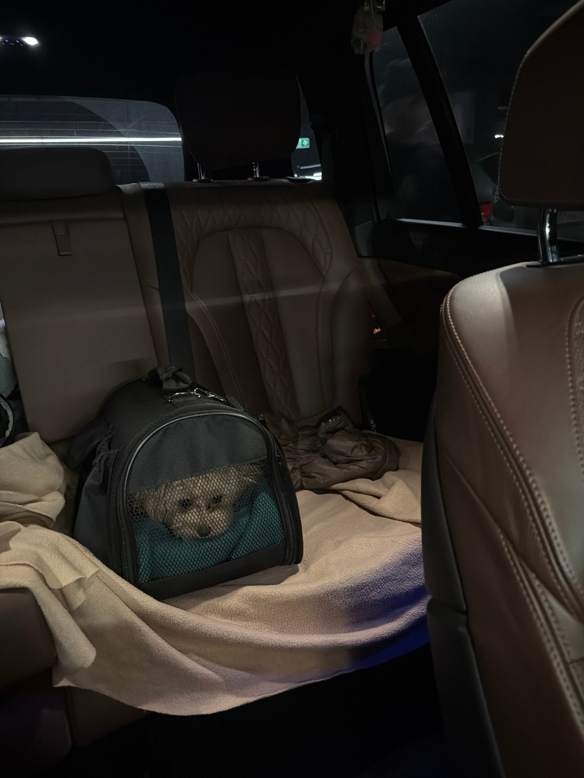 Nighttime car interior documented in Moscow