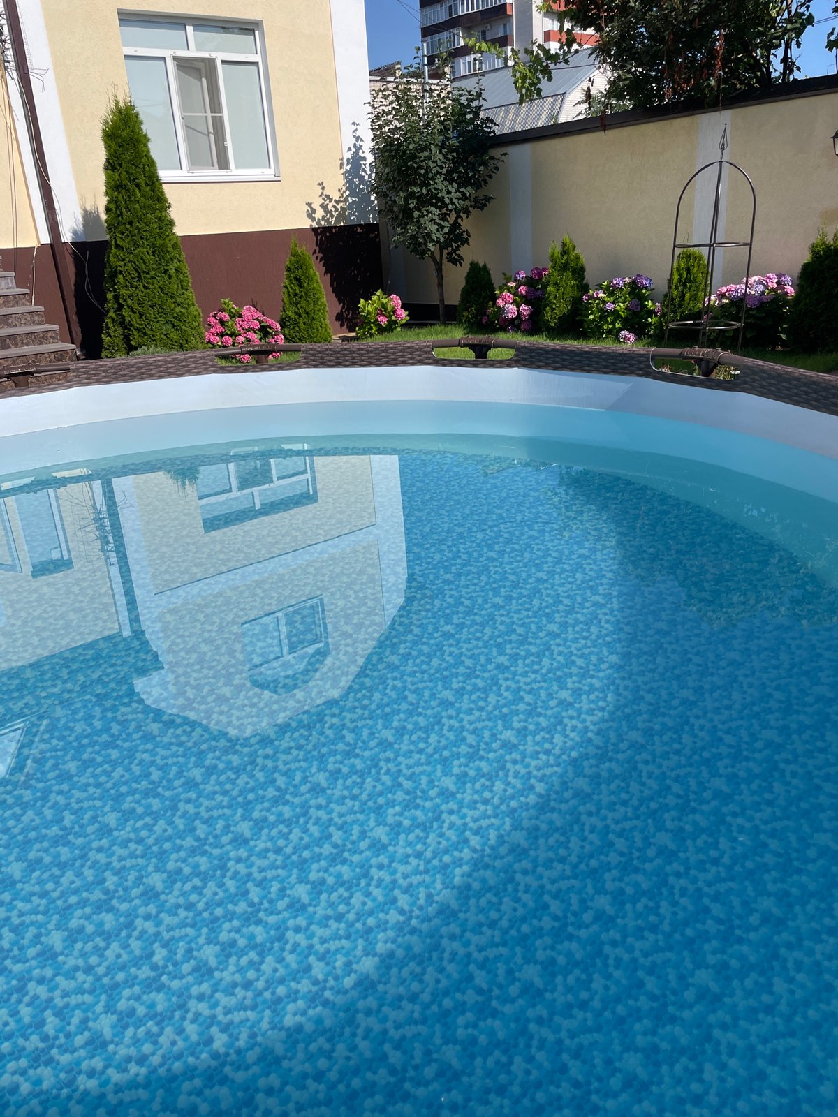 Poolside, a wandering cat, and summer blooms in Cherkessk