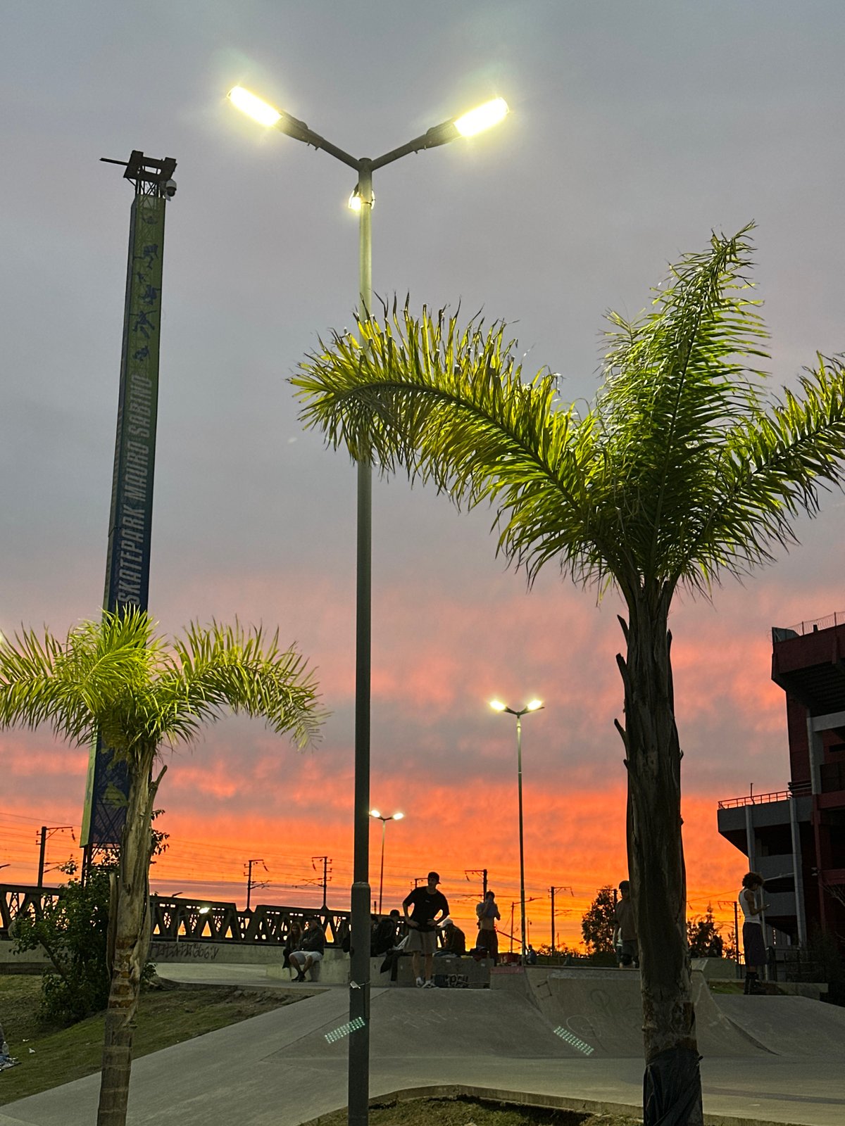 Sunset observed at Avellaneda skatepark with palm trees