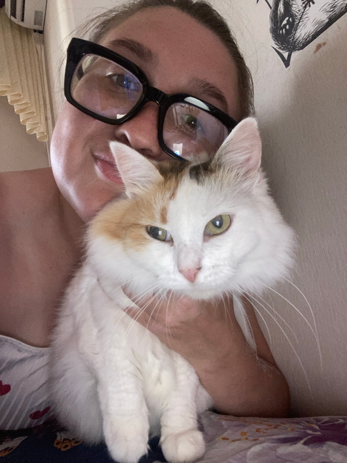 Lazy summer afternoon at home in Chaikovsky, cat included
