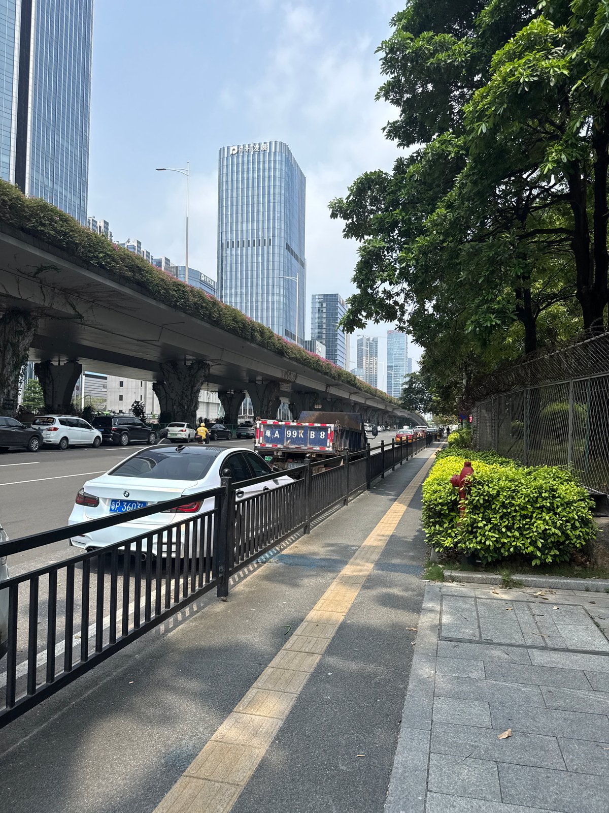 Morning walk through Guangzhou districts captures urban life scenes
