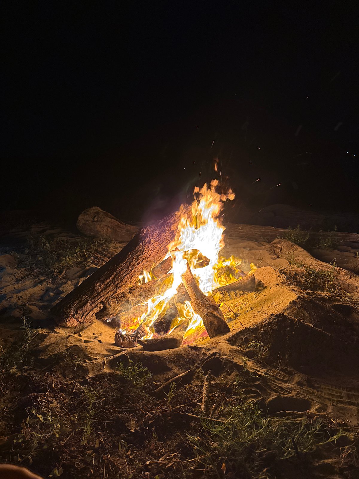 Late-night beach bonfire burning bright on the Bulgarian coast