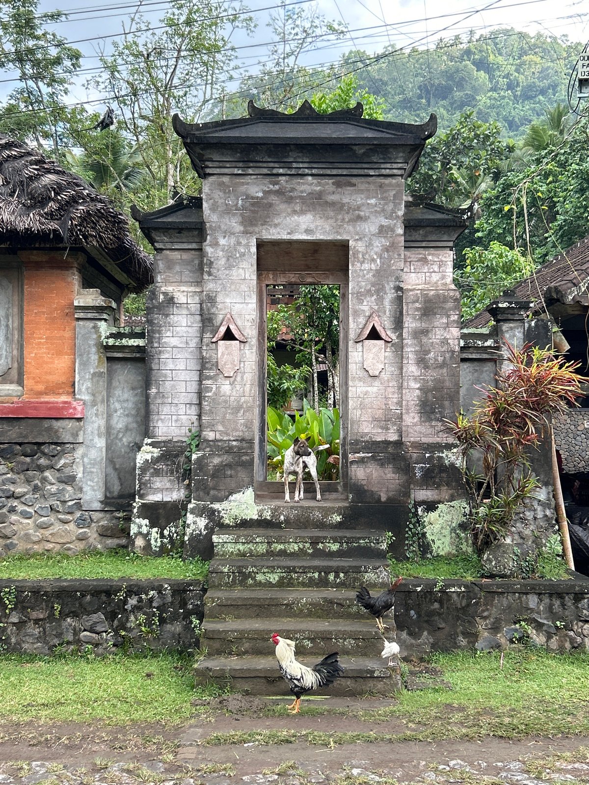 Quiet rural life in a traditional Balinese village