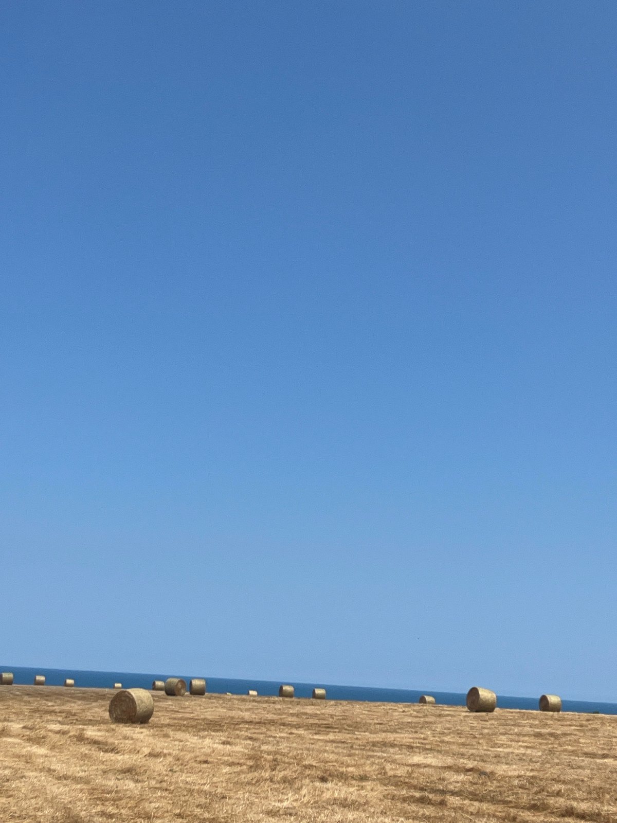 Hay bales and Black Sea cliffs on a summer day in Lozenets