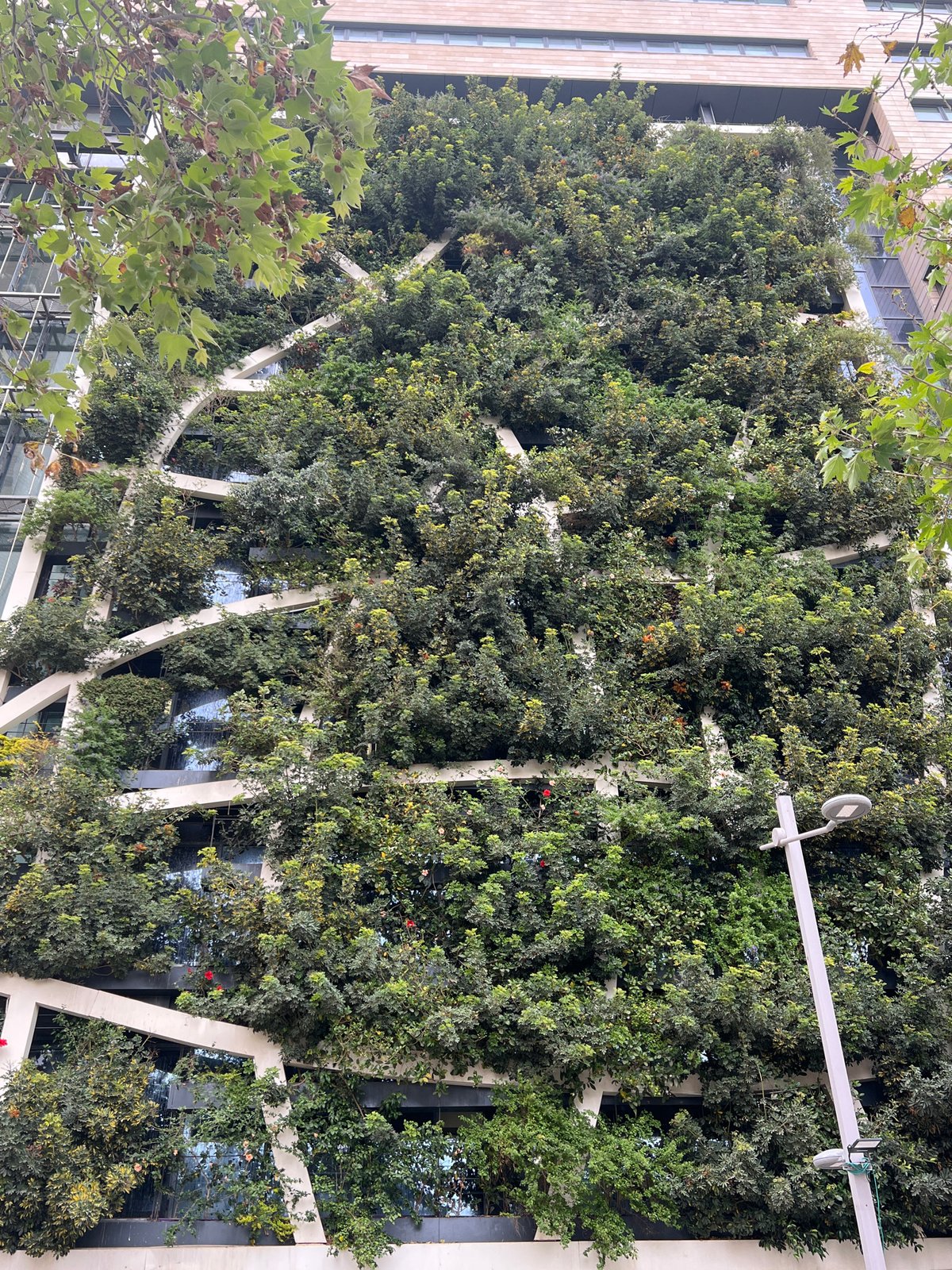 Tel Aviv building showcases lush vertical garden facade