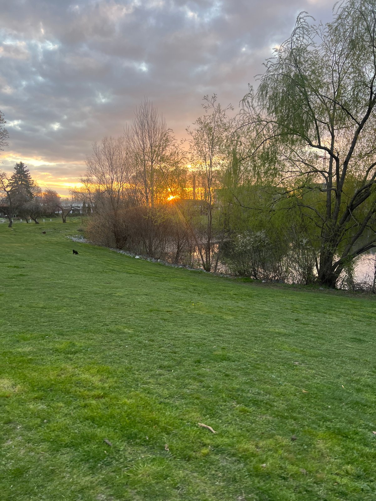 Morning sunset walk documented in Sofia park near water