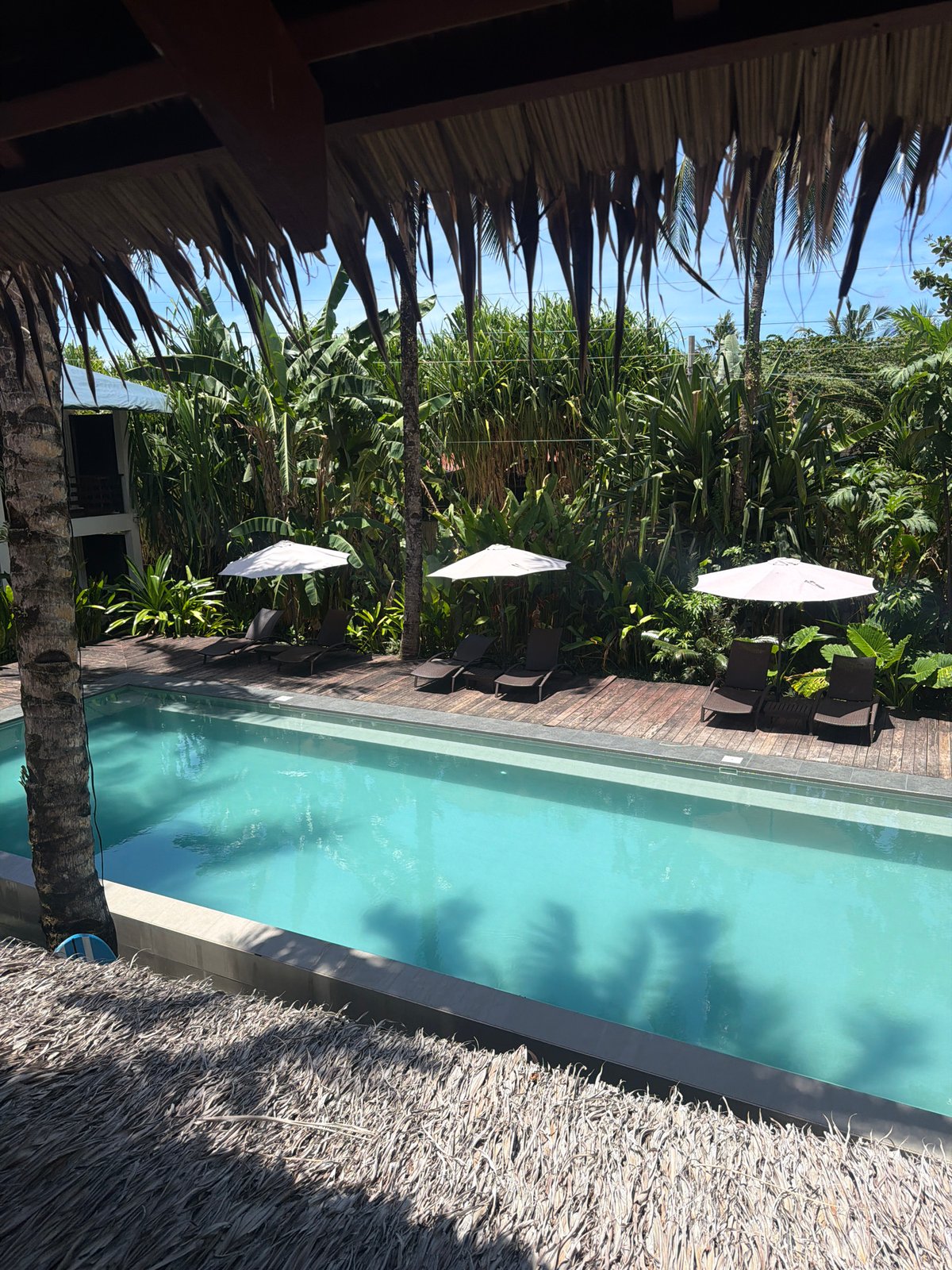 Tropical pool area documented in General Luna, Philippines