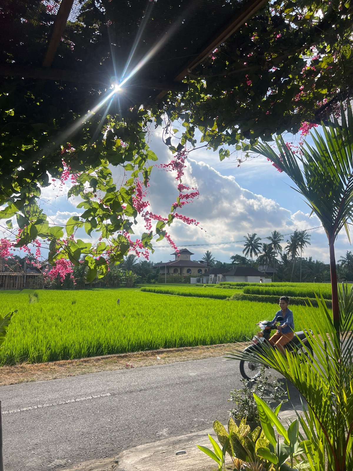 Morning scenes captured in rural Tampaksiring, Indonesia