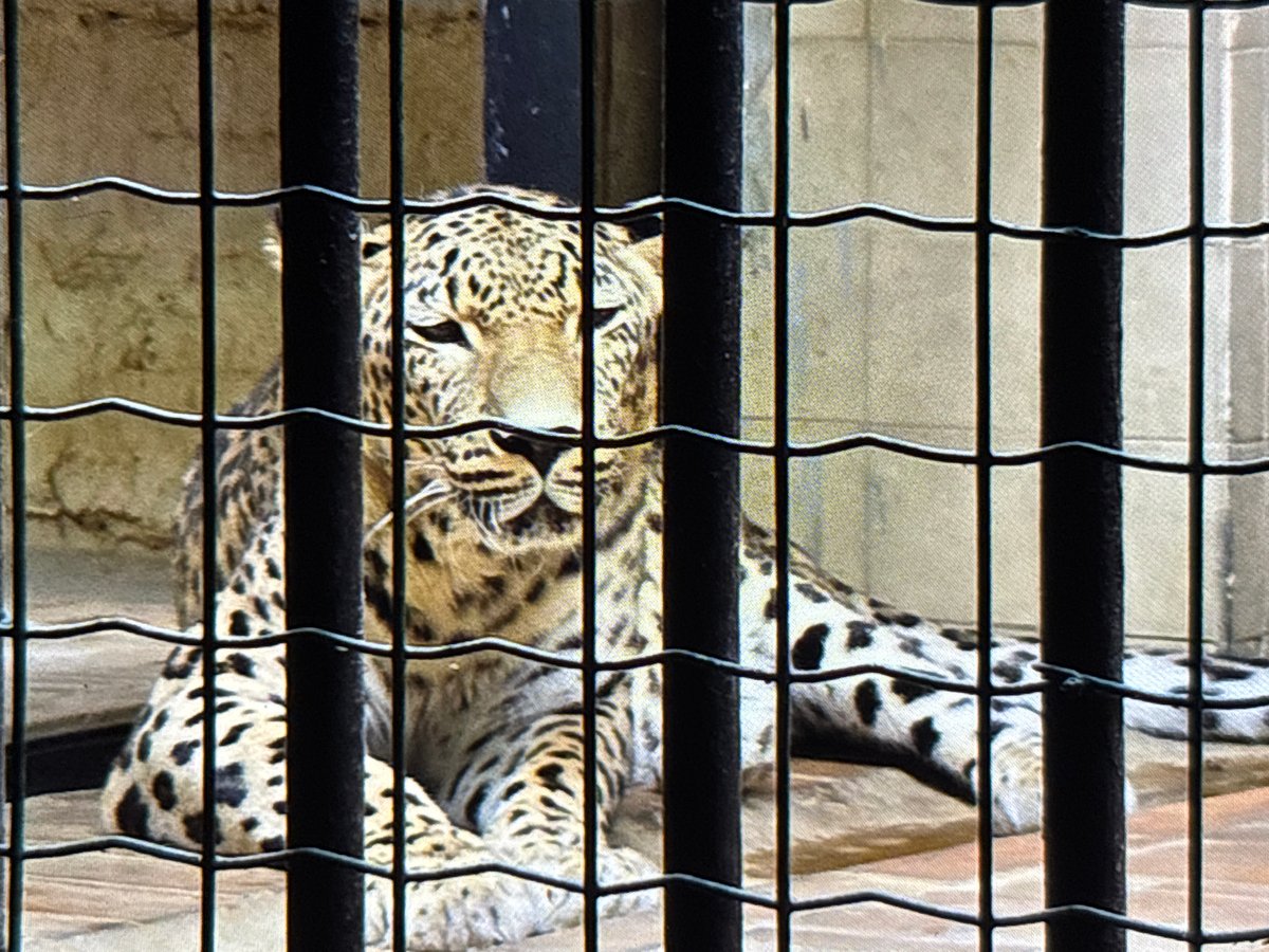 Spring zoo visit captures exotic animals and blooming flowers
