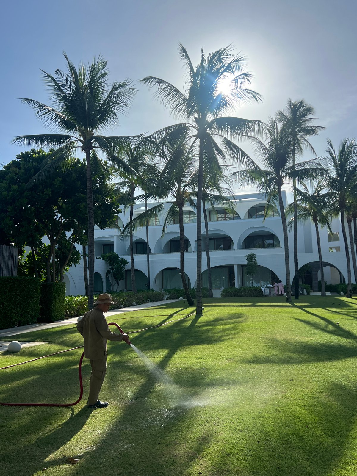 Woman in tropical setting, groundskeeper watering lawn observed Tuesday morning