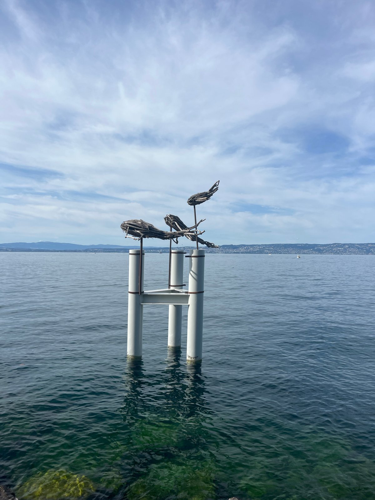 Driftwood sculptures and lake life along the Évian-les-Bains waterfront