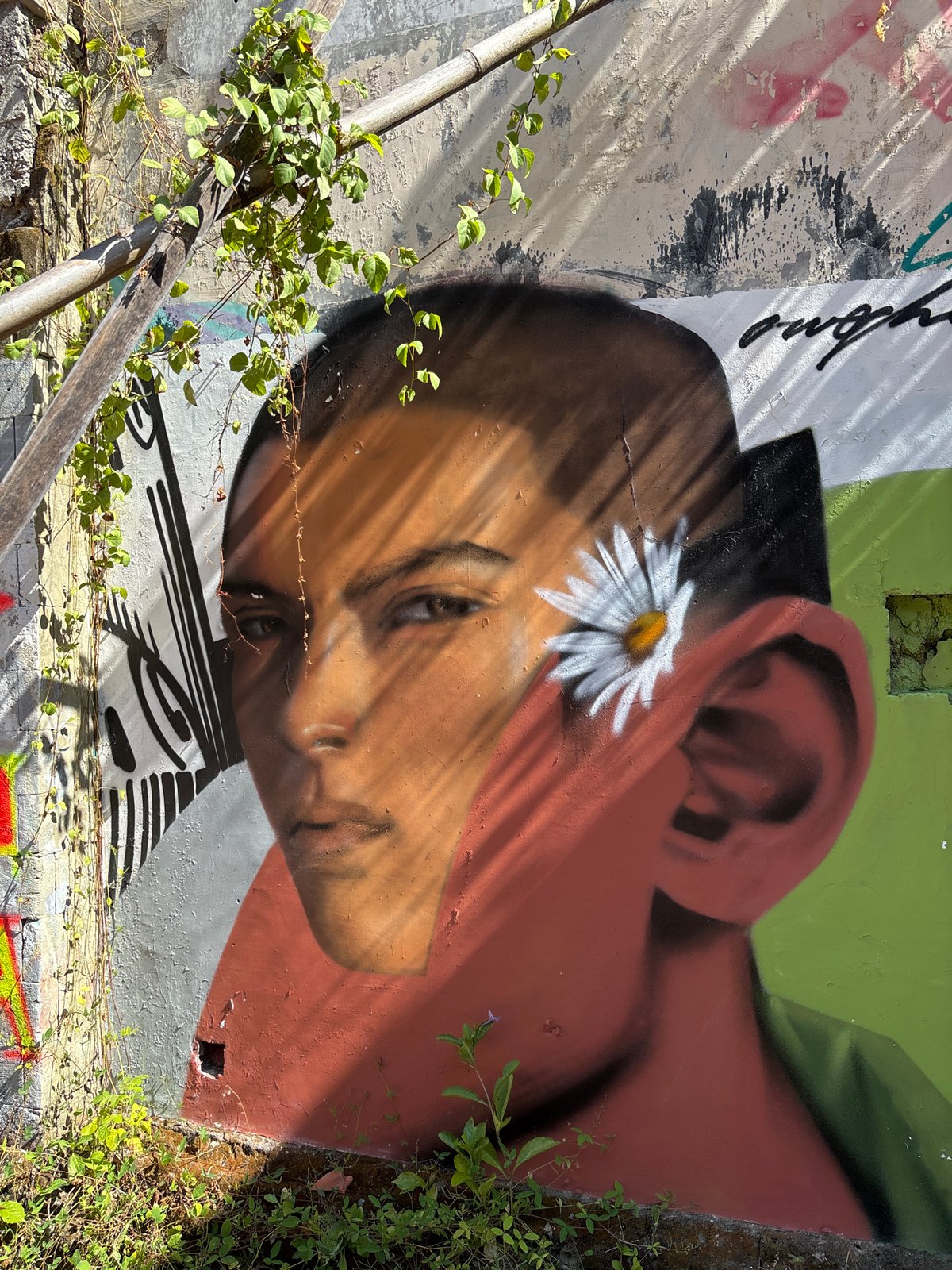 Street art and urban decay documented across Denpasar locations