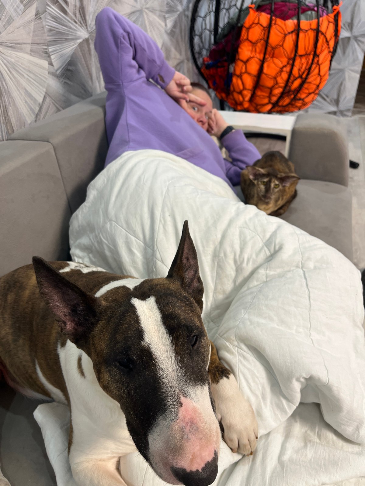 Woman relaxes with bull terrier on sofa in Chaikovsky