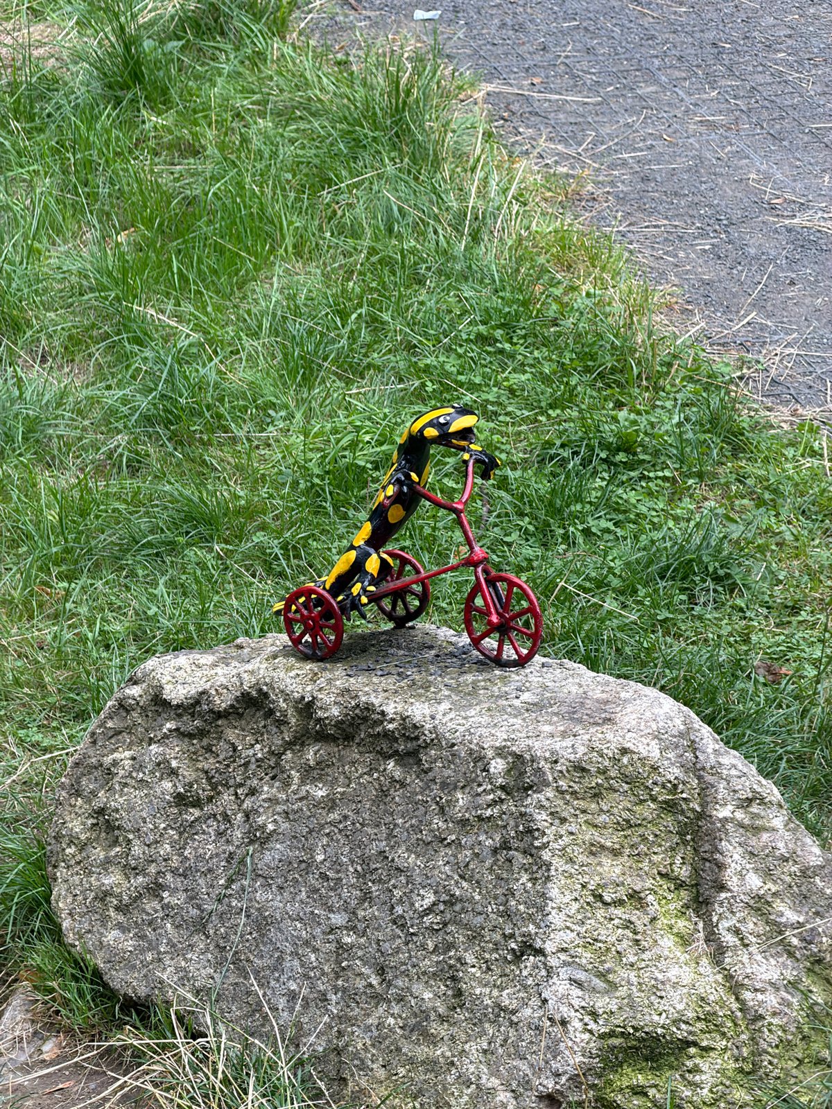 Strolling through Świeradów-Zdrój's parks and salamander sculptures