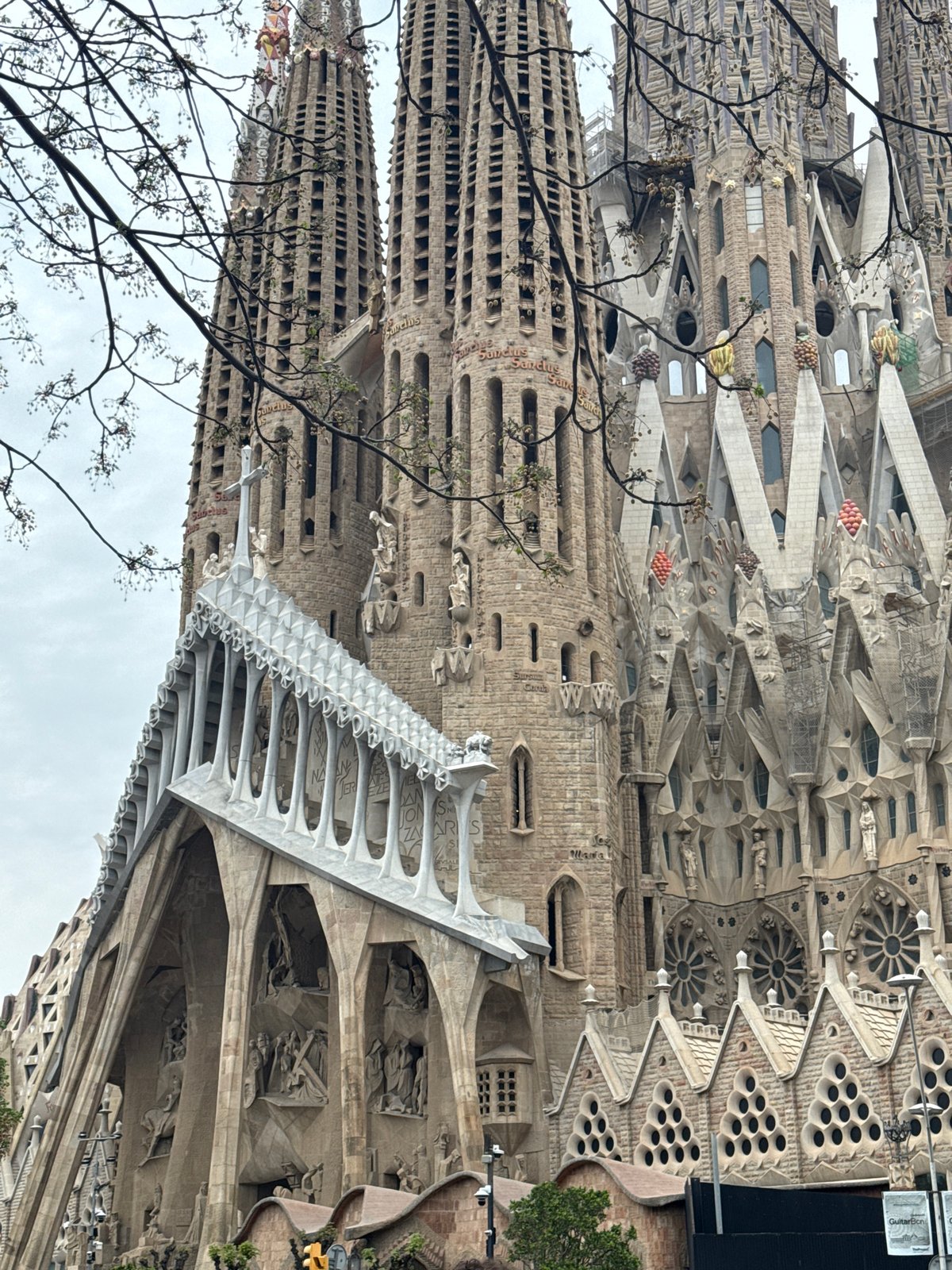 Sagrada Familia's ornate facade documented by witness in Barcelona