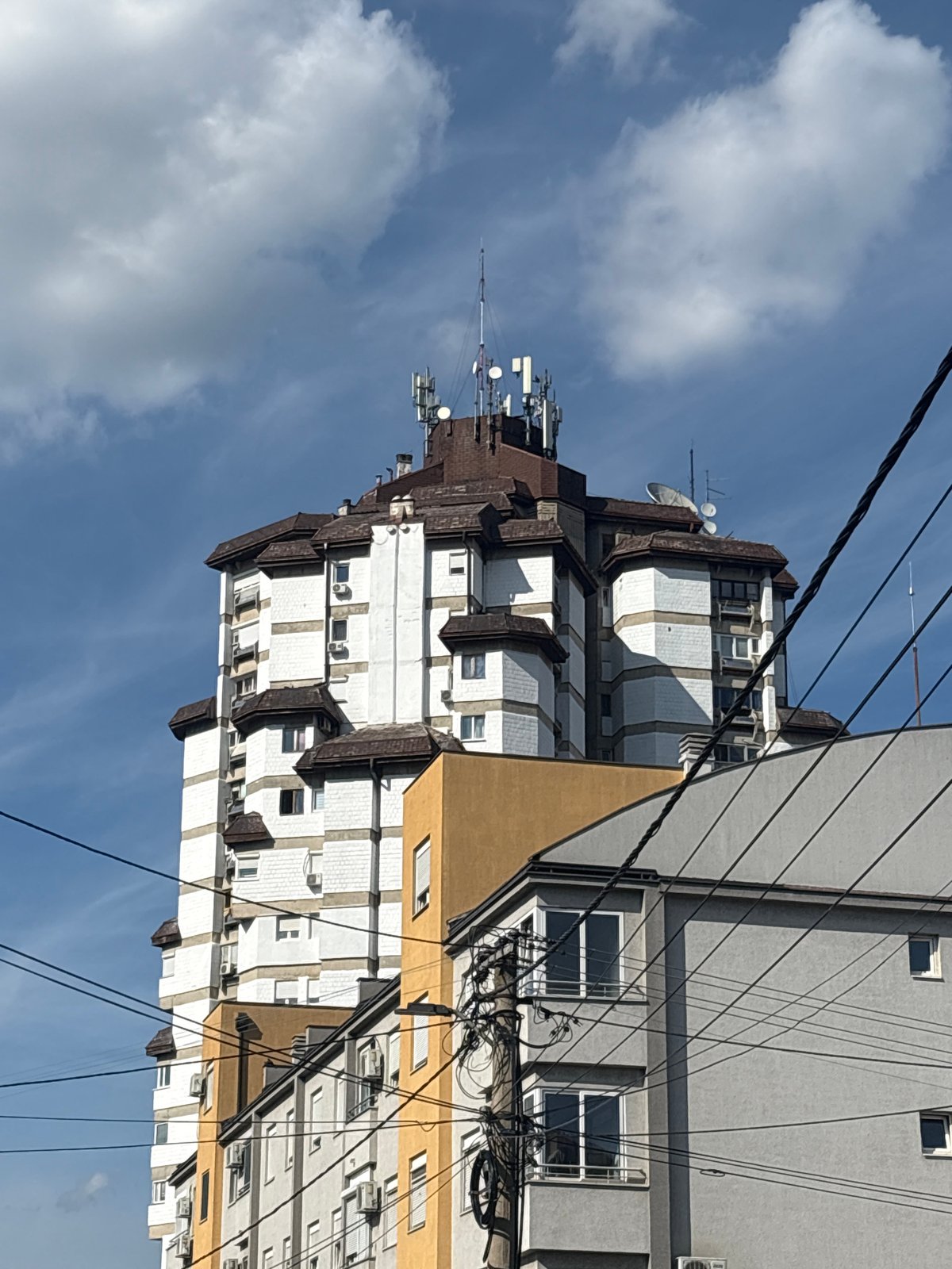 Striking architecture and a curious cat in Kragujevac