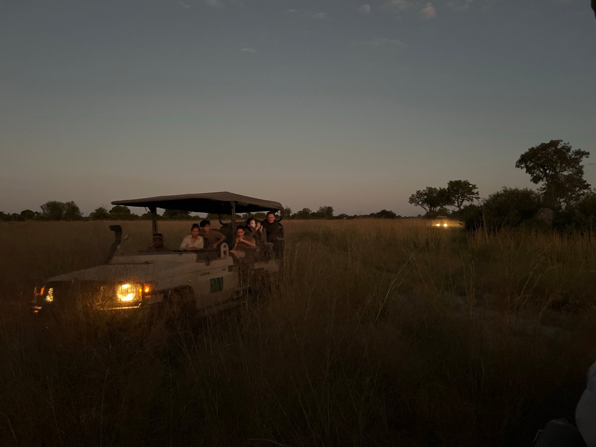 Safari vehicles spotted at twilight in Botswana grasslands