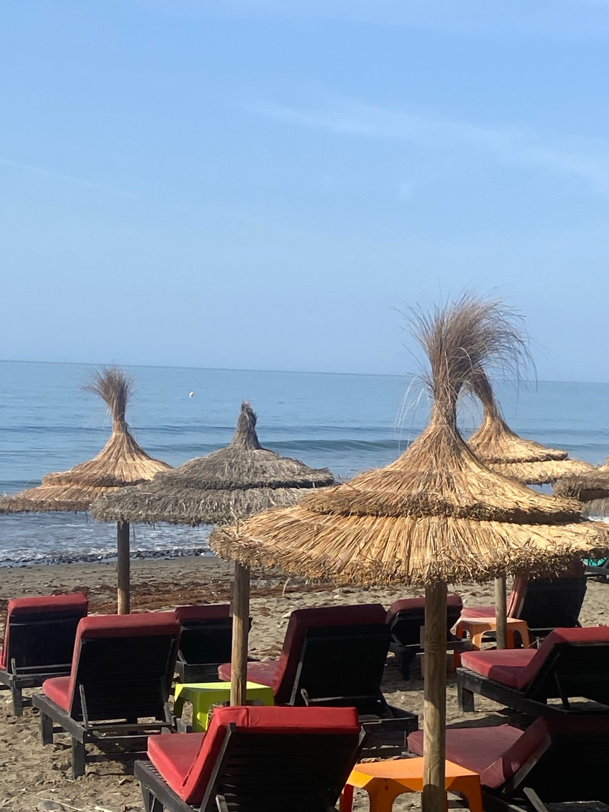 Dog training session and beach town morning in Estepona