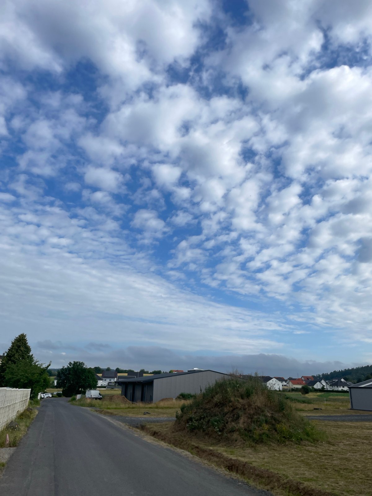 Industrial site activity and roadside details in Bad Salzschlirf