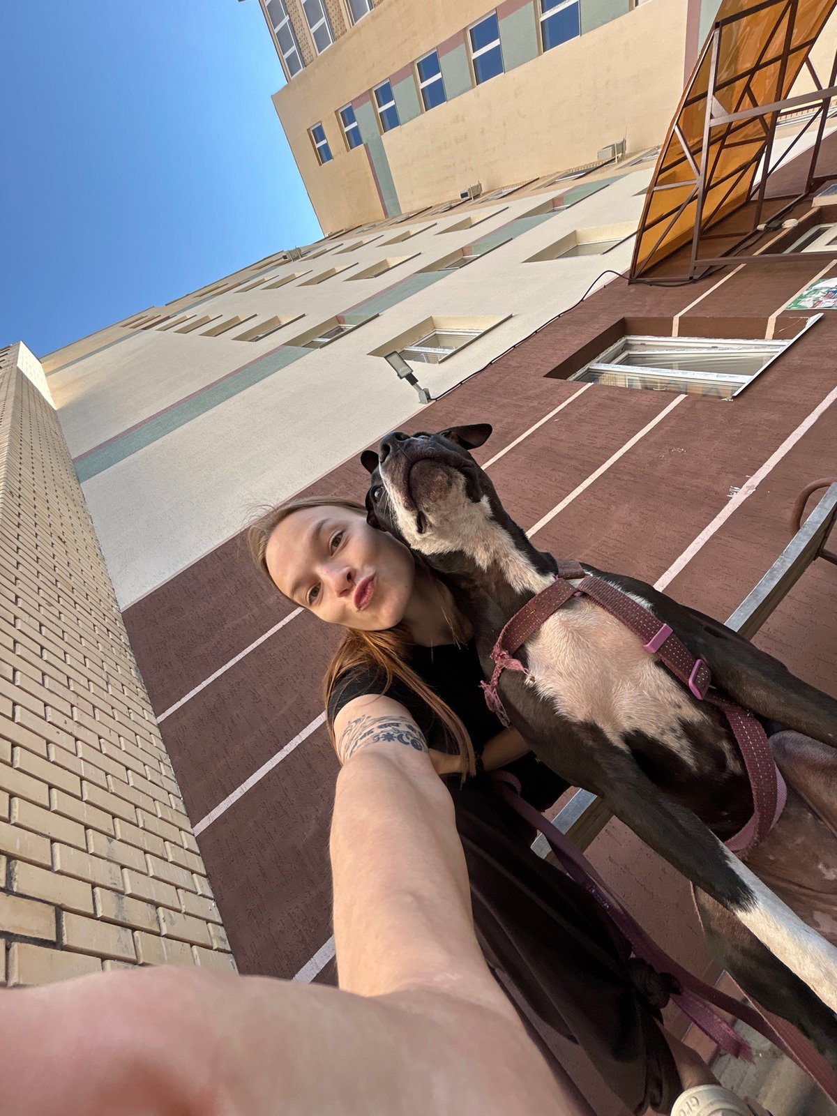 Dog and plaza scenes outside a modern Chaikovsky building