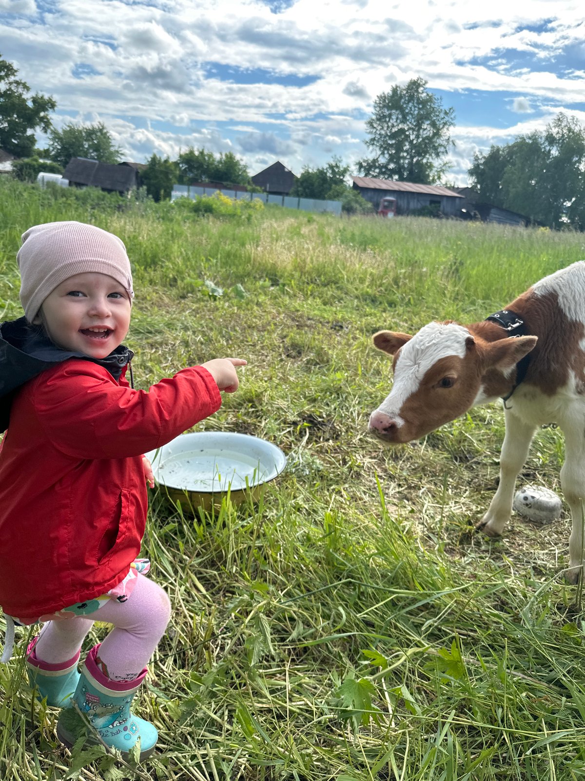 Children visit calf in Russian village fields