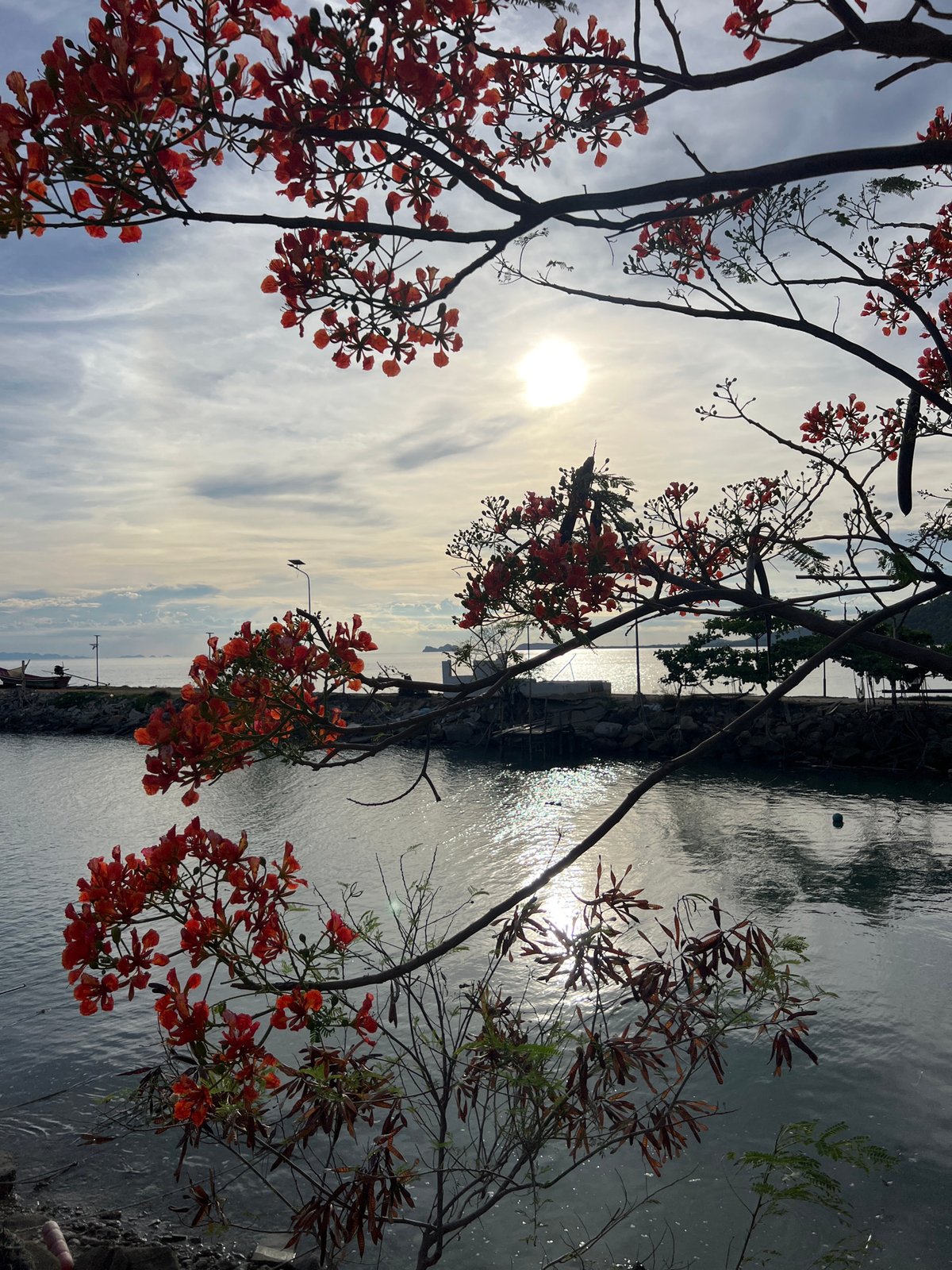 Exploring Ban Tai Subdistrict's tropical gardens and resort attractions