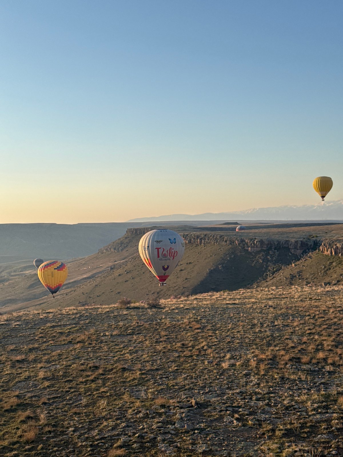 Hot air balloons drift over Turkish landscape at sunrise
