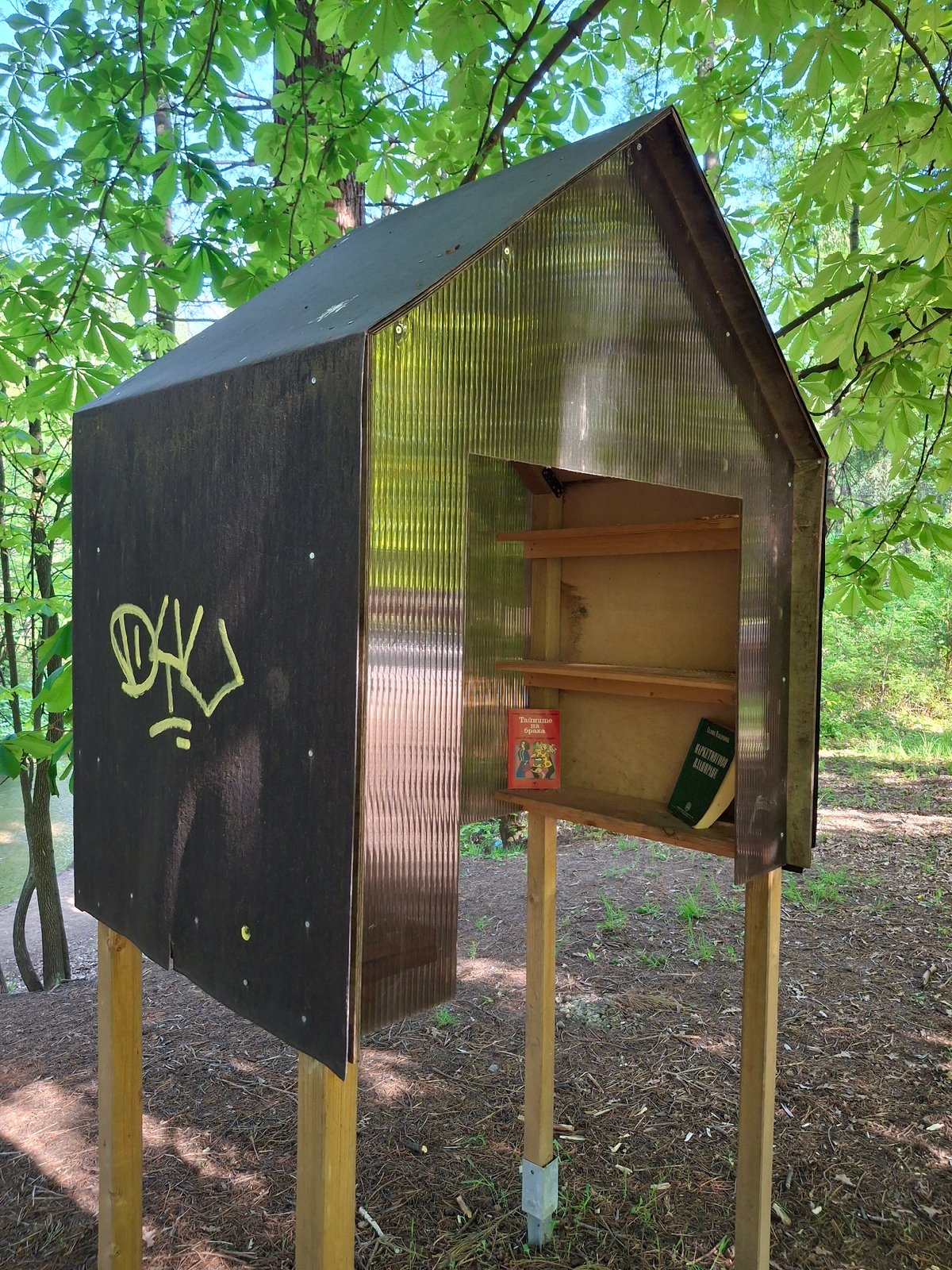 Afternoon park walk captures little library, wildlife, stream views