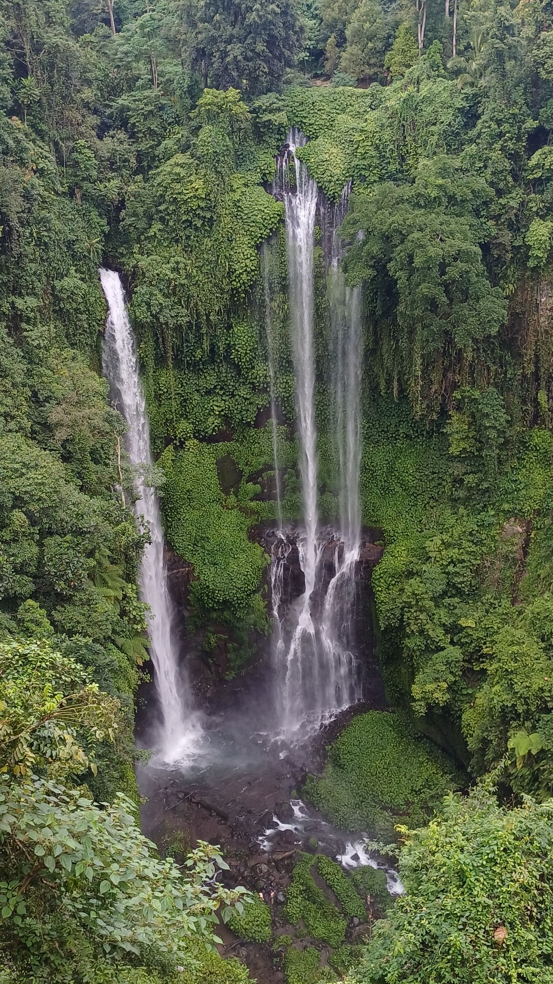 Visitors document early morning trip to Sekumpul Waterfall, Bali