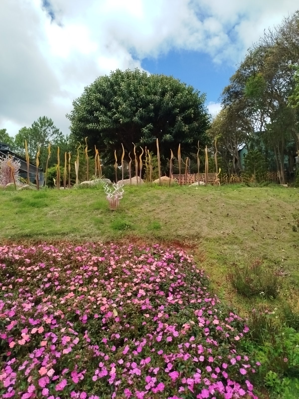 Pink flower garden with glass art documented in Da Lat