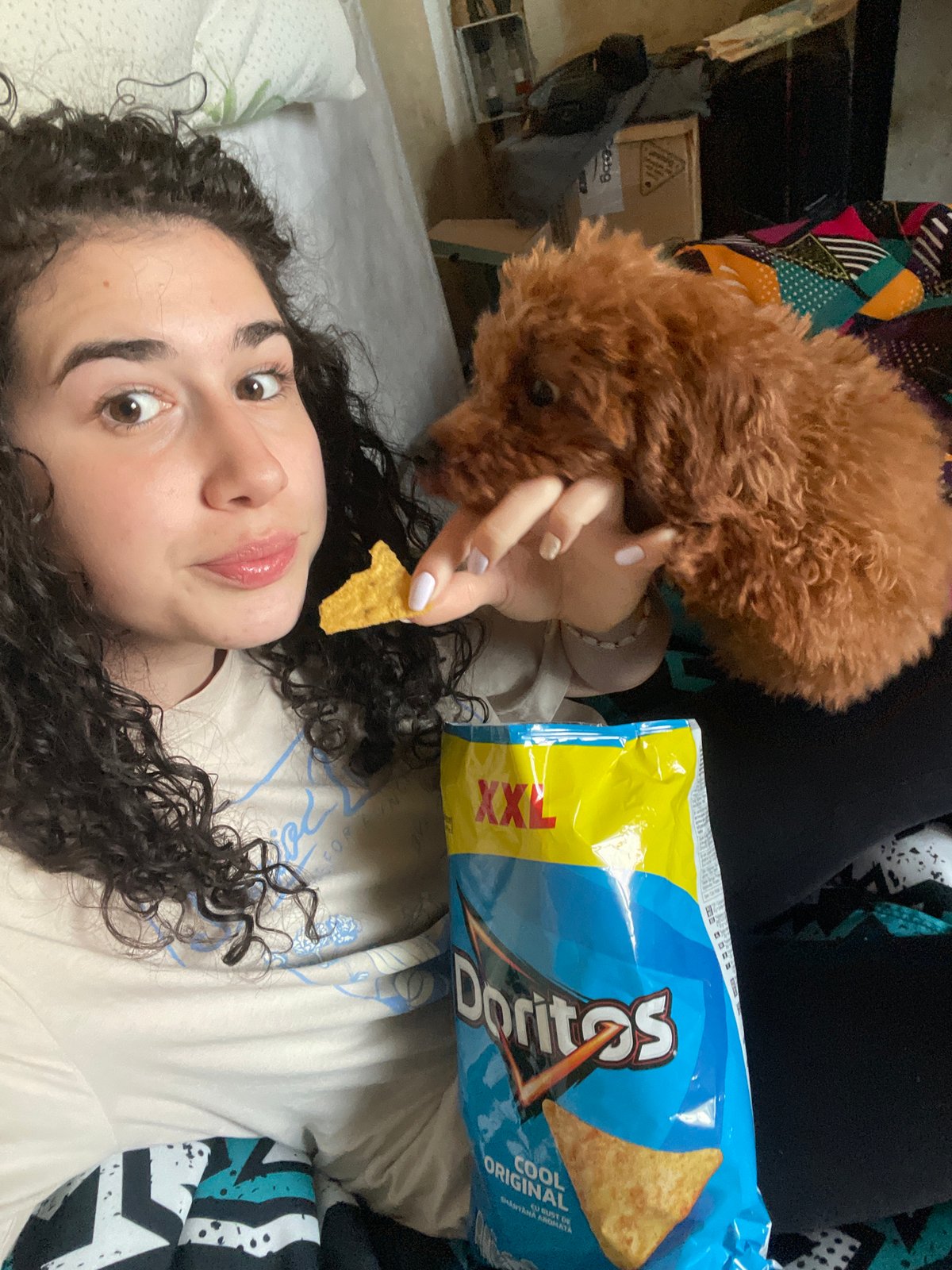 Person shares snack time with poodle in Sofia home