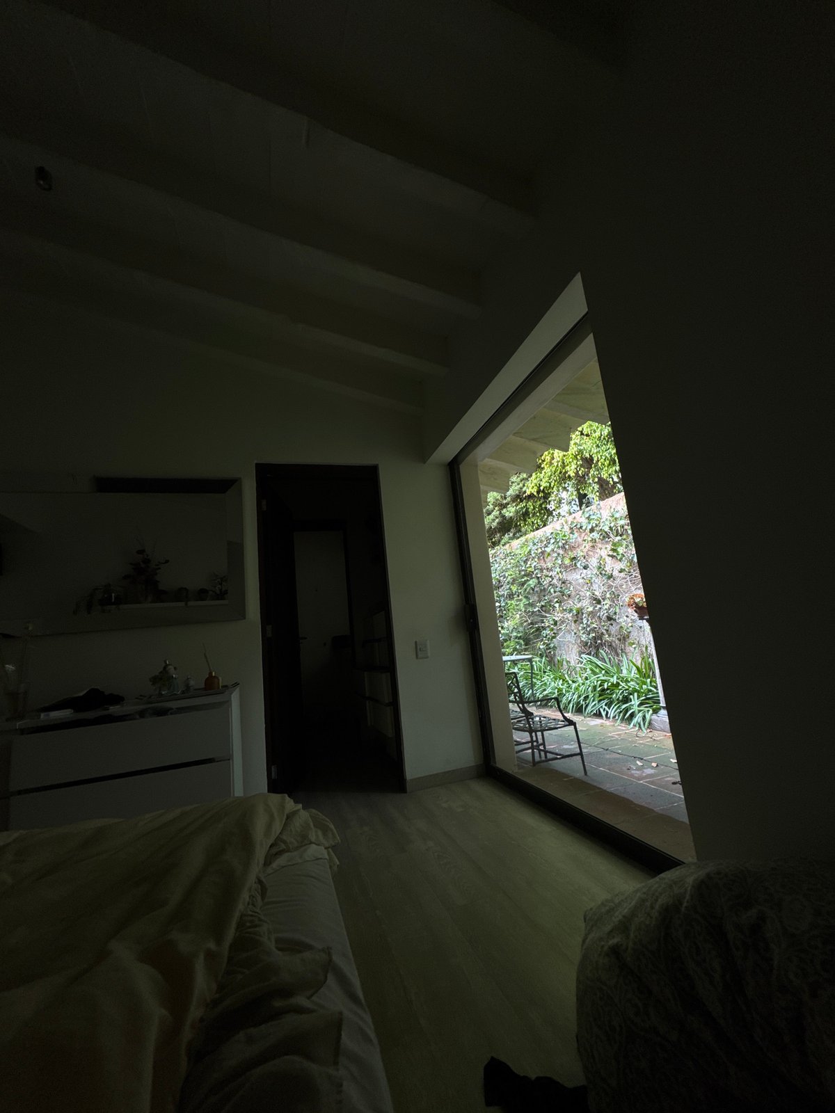 Mexico City resident captures upward skylight view of private garden